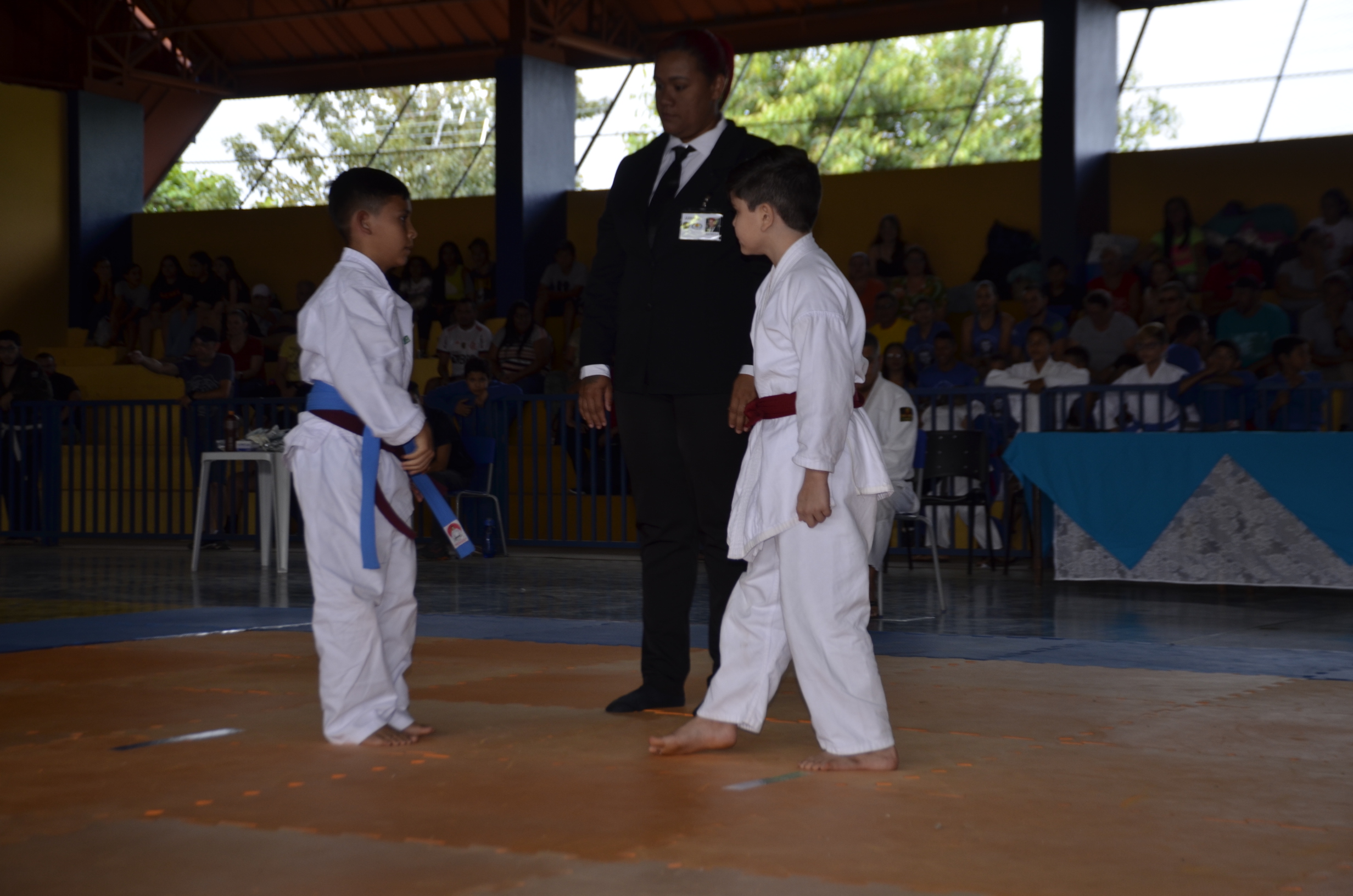 Porto Murtinho: confira as fotos do Campeonato Estadual de Judô