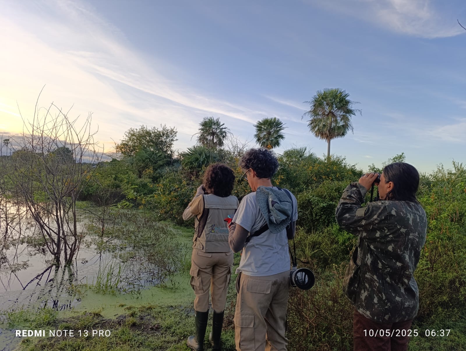 Global Big Day 2025: Porto Murtinho e Mato Grosso do Sul ganham destaque nacional na observação de aves e fortalecem a ciência cidadã Global Big Day 2025: Porto Murtinho e Mato Grosso do Sul ganham destaque nacional na observação de aves e fortalecem a ciência cidadã