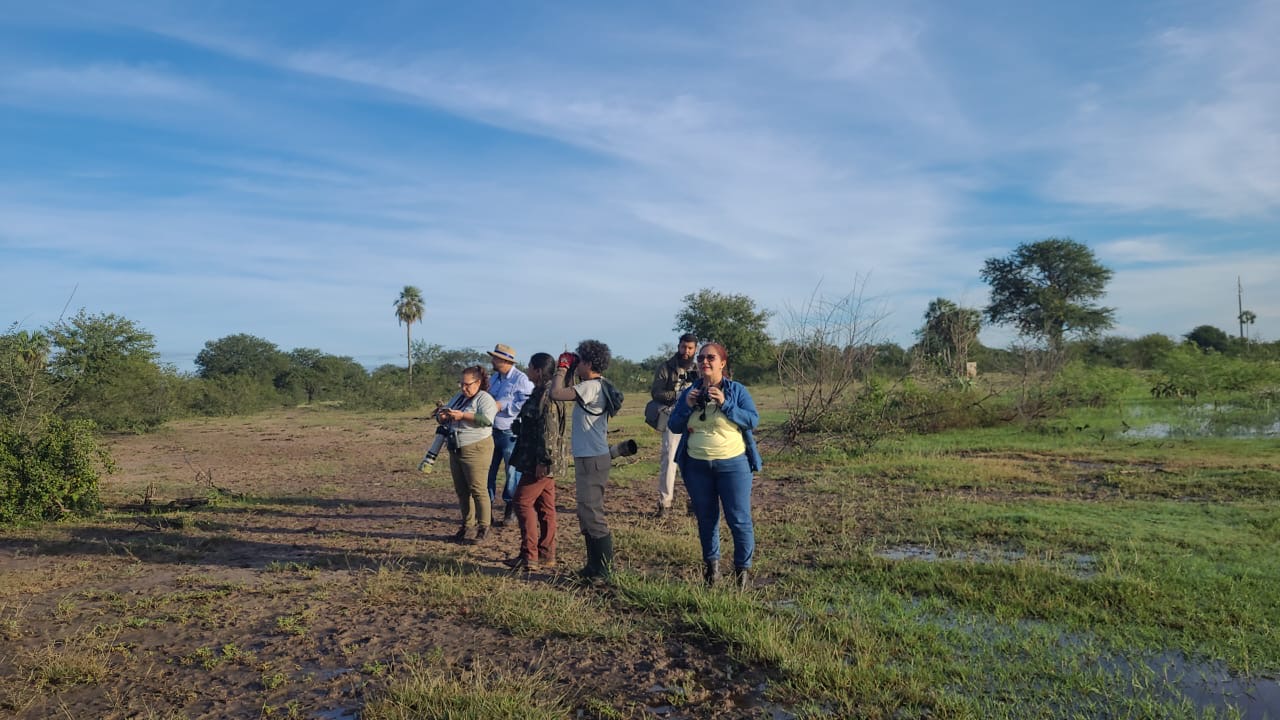 Global Big Day 2025: Porto Murtinho e Mato Grosso do Sul ganham destaque nacional na observação de aves e fortalecem a ciência cidadã Global Big Day 2025: Porto Murtinho e Mato Grosso do Sul ganham destaque nacional na observação de aves e fortalecem a ciência cidadã