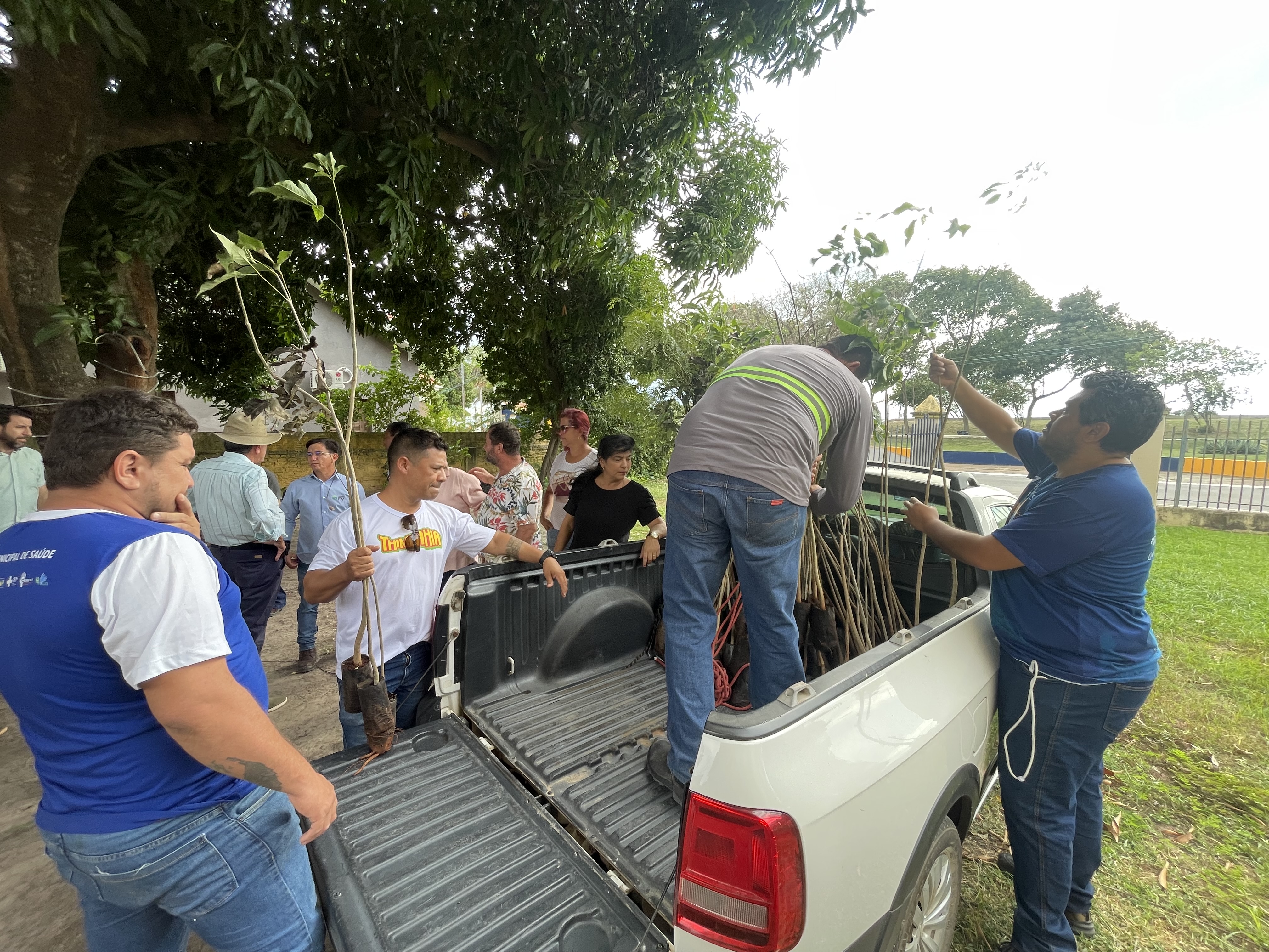 Prefeitura recebe doação de mudas do Grupo FV Cereais com base em lei complementar sancionada pelo Executivo Prefeitura recebe doação de mudas do Grupo FV Cereais com base em lei complementar sancionada pelo Executivo