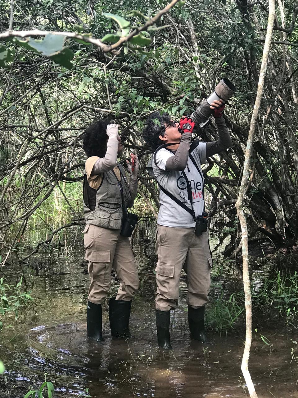 Global Big Day 2025: Porto Murtinho e Mato Grosso do Sul ganham destaque nacional na observação de aves e fortalecem a ciência cidadã Global Big Day 2025: Porto Murtinho e Mato Grosso do Sul ganham destaque nacional na observação de aves e fortalecem a ciência cidadã