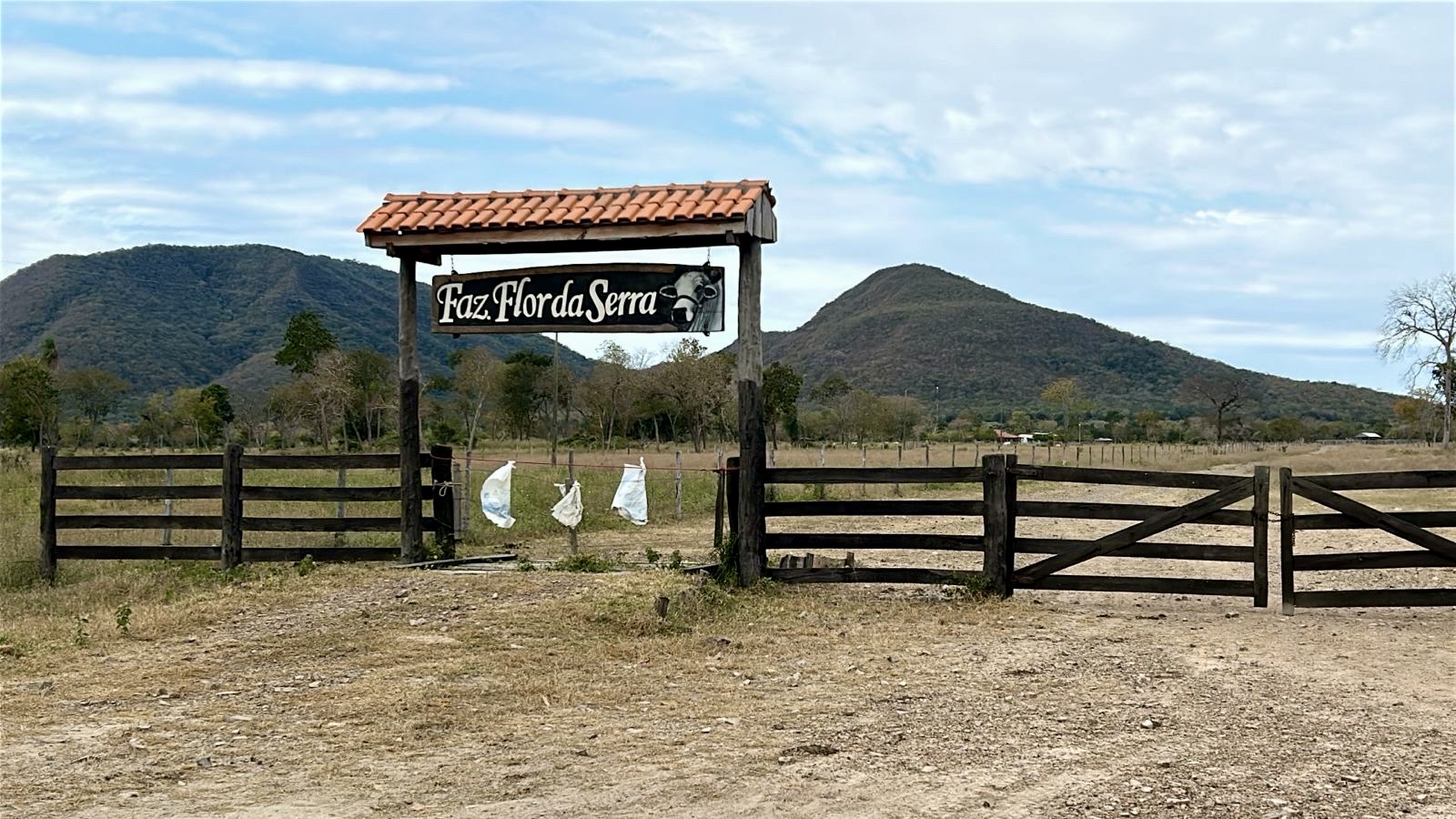 Prefeitura intensifica serviços de manutenção em estrada rural de Porto Murtinho Prefeitura intensifica serviços de manutenção em estrada rural de Porto Murtinho