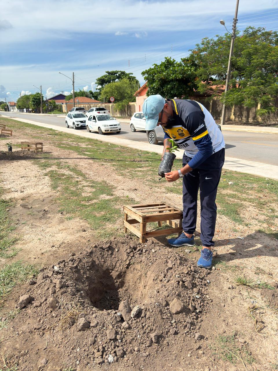 Gestão Municipal inicia plantio de mais de 100 mudas no entorno do Aeroporto Municipal