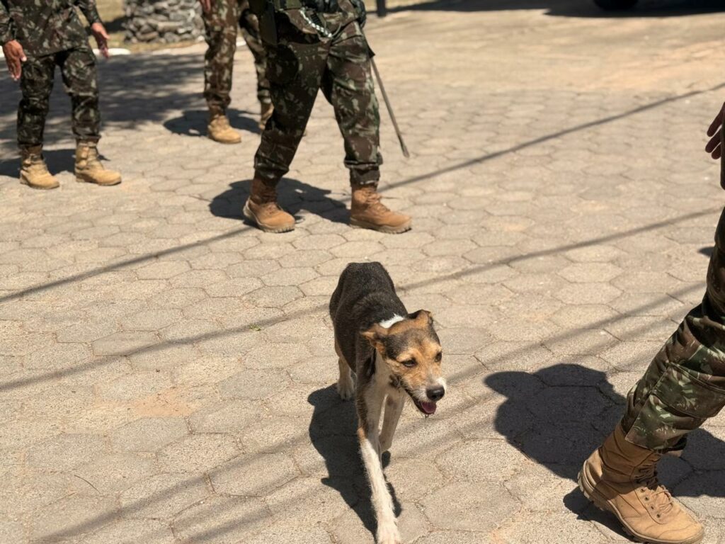 Formatura de incorporação marca início da jornada de novos soldados em Porto Murtinho