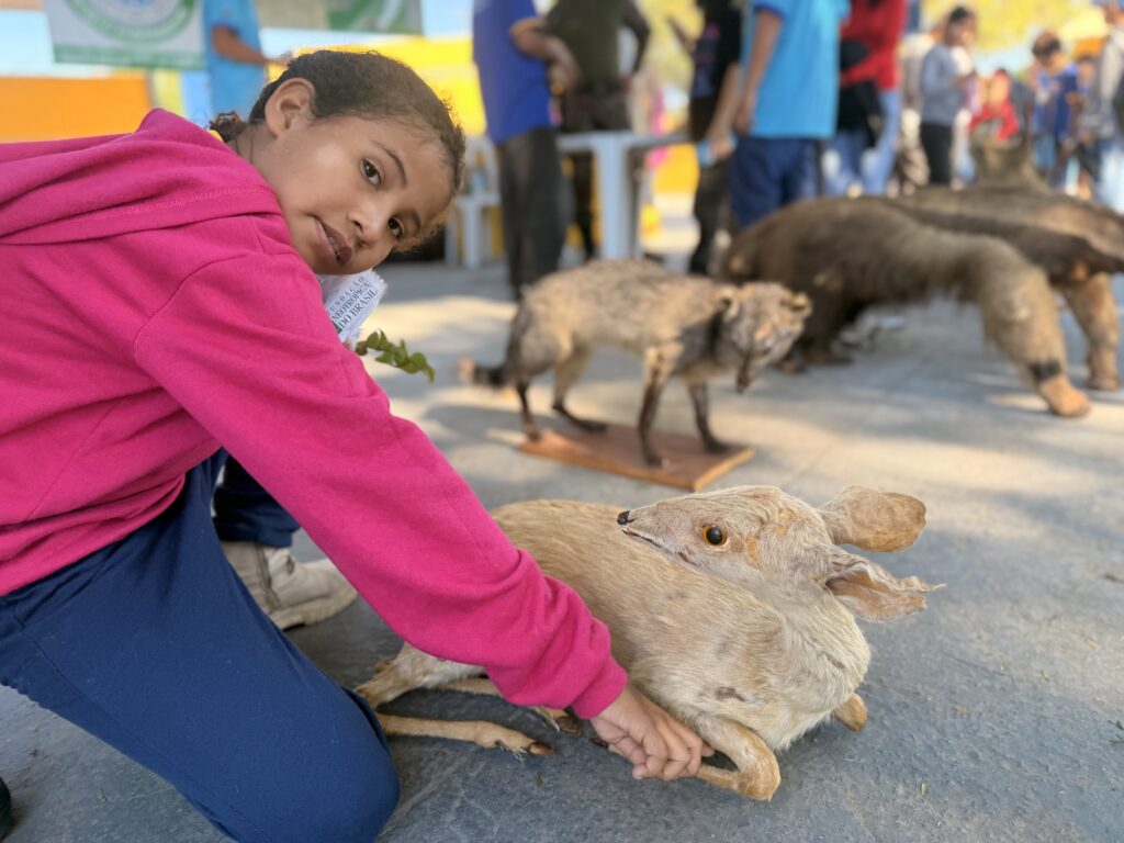 Feira de Educação Ambiental encerra programação da Semana do Meio Ambiente em Porto Murtinho