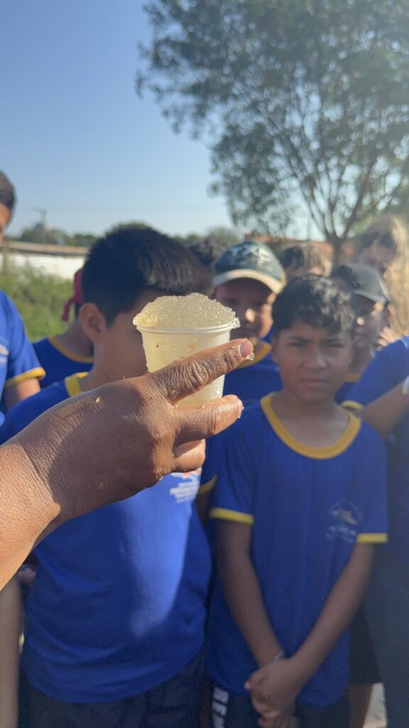 Porto Murtinho celebra Dia da Árvore com plantio de mudas e ações de educação ambiental