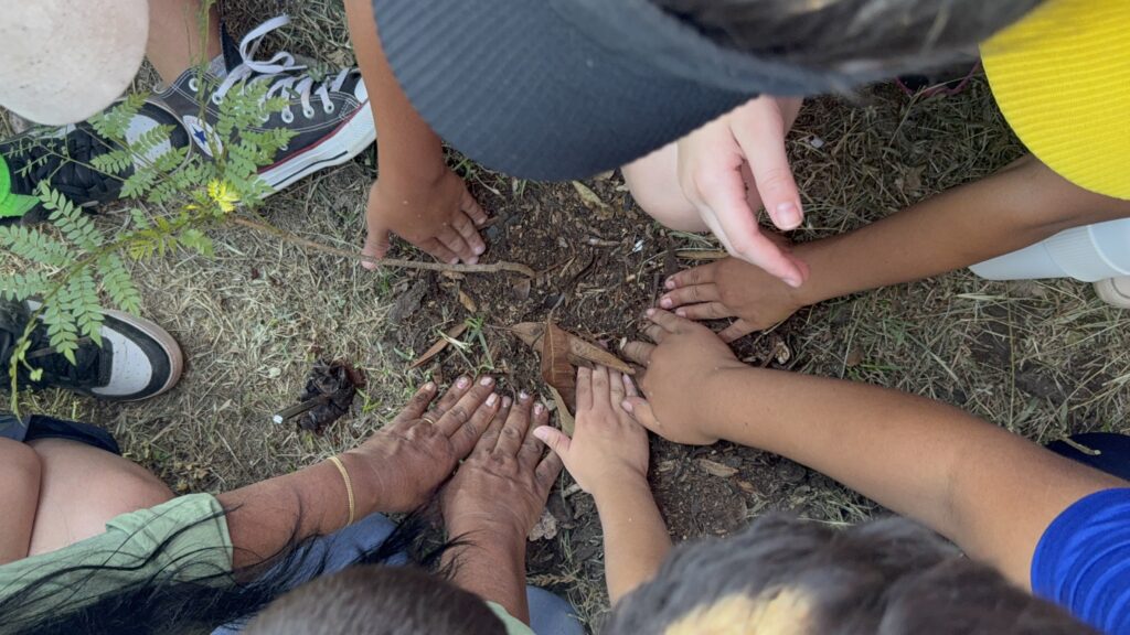 Porto Murtinho celebra Dia da Árvore com plantio de mudas e ações de educação ambiental