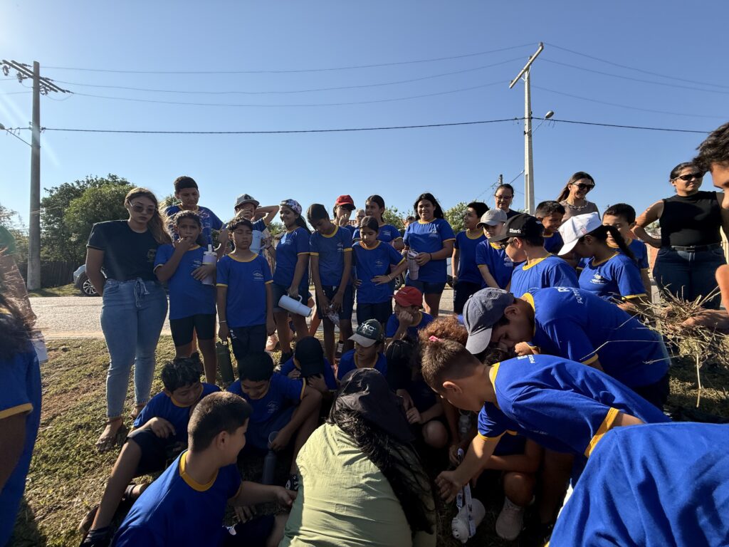 Porto Murtinho celebra Dia da Árvore com plantio de mudas e ações de educação ambiental
