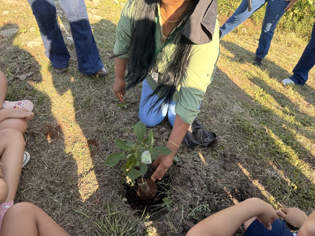 Porto Murtinho celebra Dia da Árvore com plantio de mudas e ações de educação ambiental