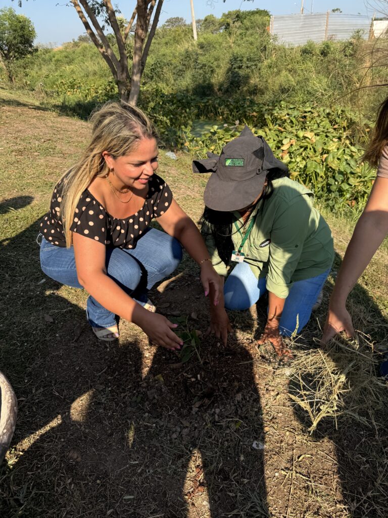 Porto Murtinho celebra Dia da Árvore com plantio de mudas e ações de educação ambiental