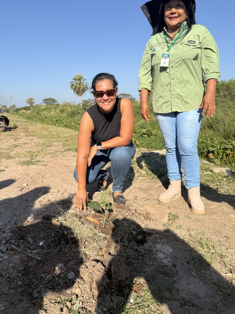 Porto Murtinho celebra Dia da Árvore com plantio de mudas e ações de educação ambiental