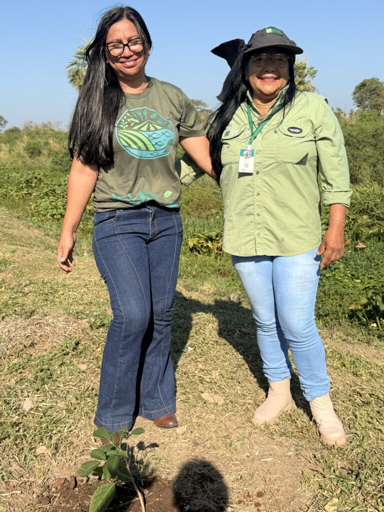 Porto Murtinho celebra Dia da Árvore com plantio de mudas e ações de educação ambiental