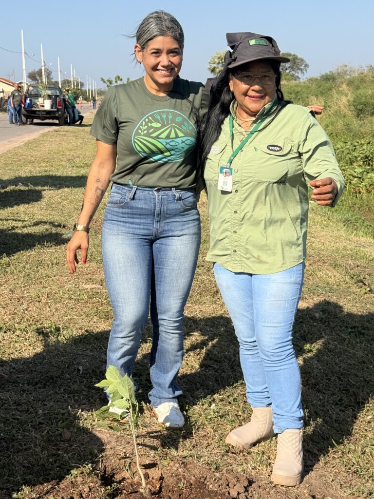 Porto Murtinho celebra Dia da Árvore com plantio de mudas e ações de educação ambiental