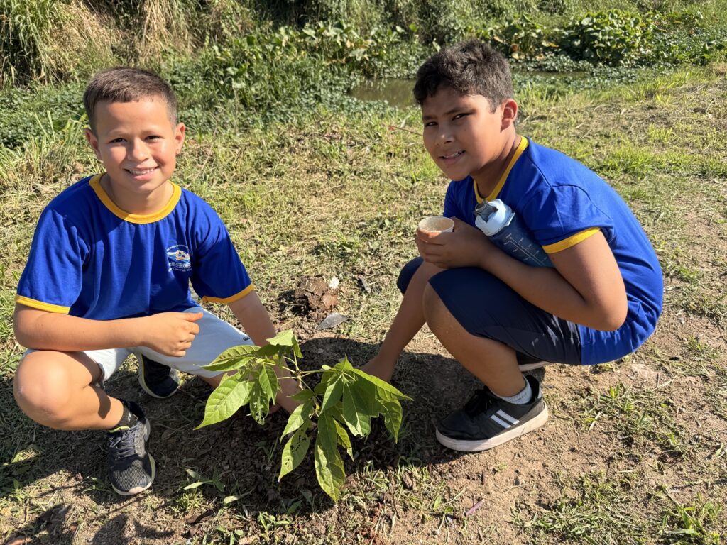 Porto Murtinho celebra Dia da Árvore com plantio de mudas e ações de educação ambiental