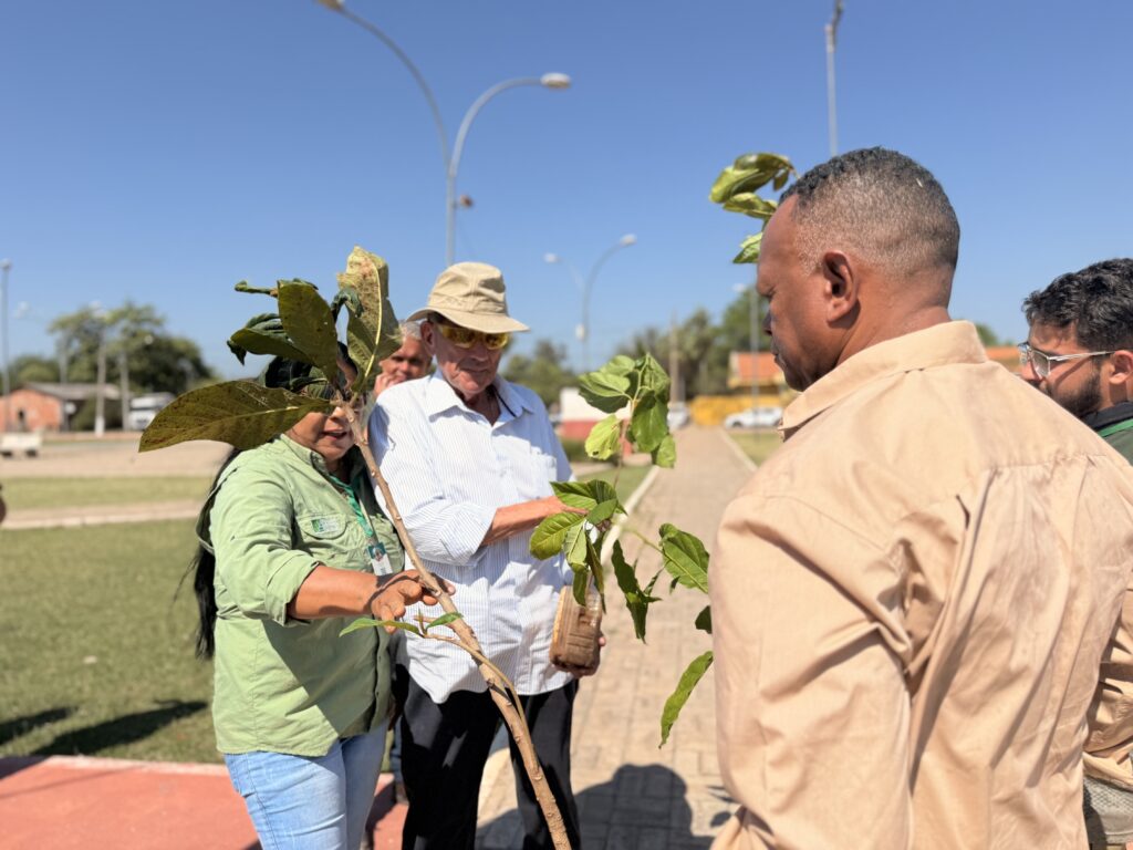 Porto Murtinho celebra Dia da Árvore com plantio de mudas e ações de educação ambiental
