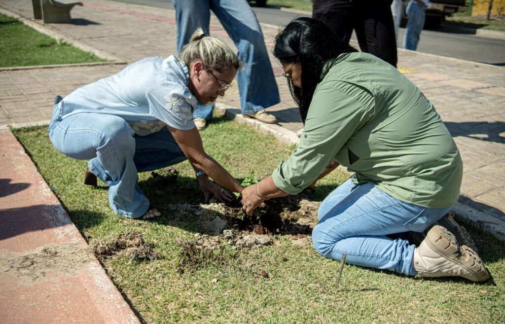Porto Murtinho celebra Dia da Árvore com plantio de mudas e ações de educação ambiental