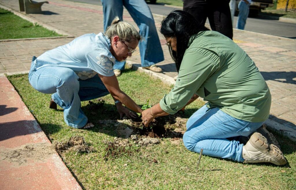 Porto Murtinho celebra Dia da Árvore com plantio de mudas e ações de educação ambiental