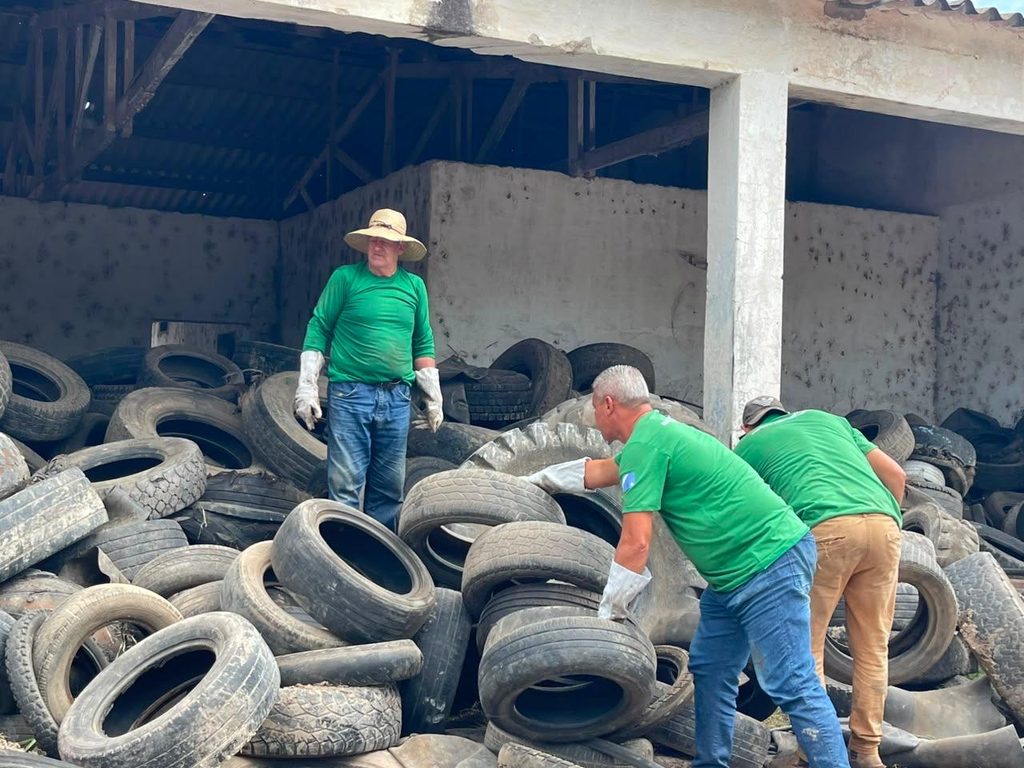 Pneus inservíveis são recolhidos do depósito municipal