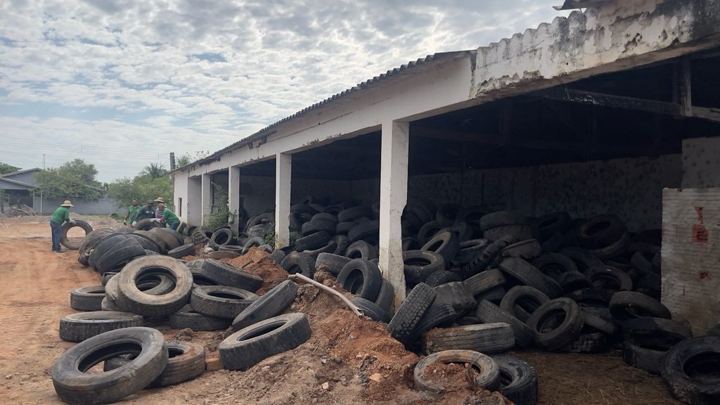 Pneus inservíveis são recolhidos do depósito municipal