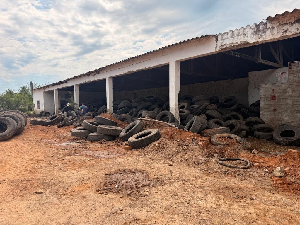Pneus inservíveis são recolhidos do depósito municipal