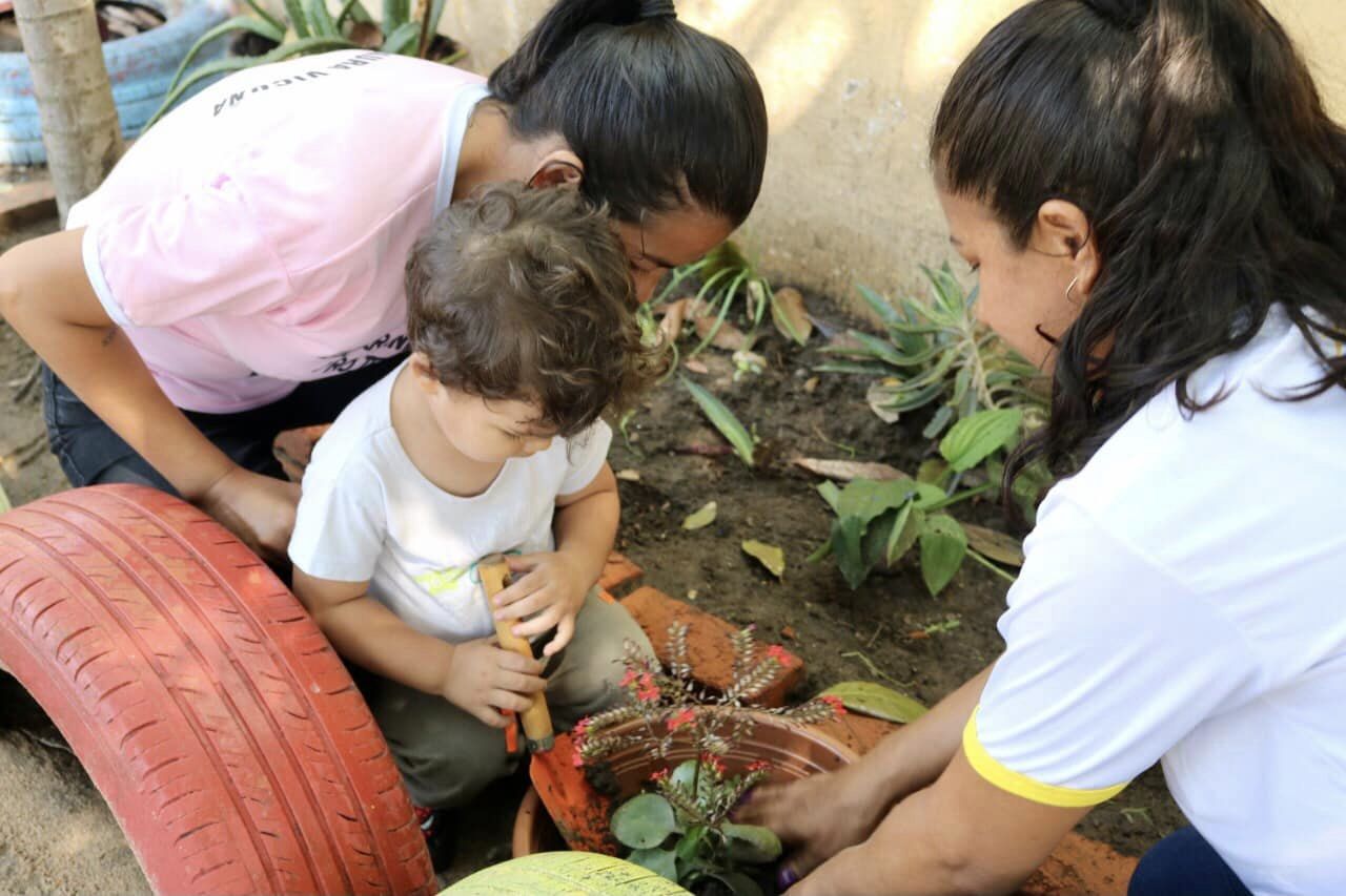 Projeto da CEI Laura Vicuna promove sustentabilidade para as crianÃ§as por meio da jardinagem