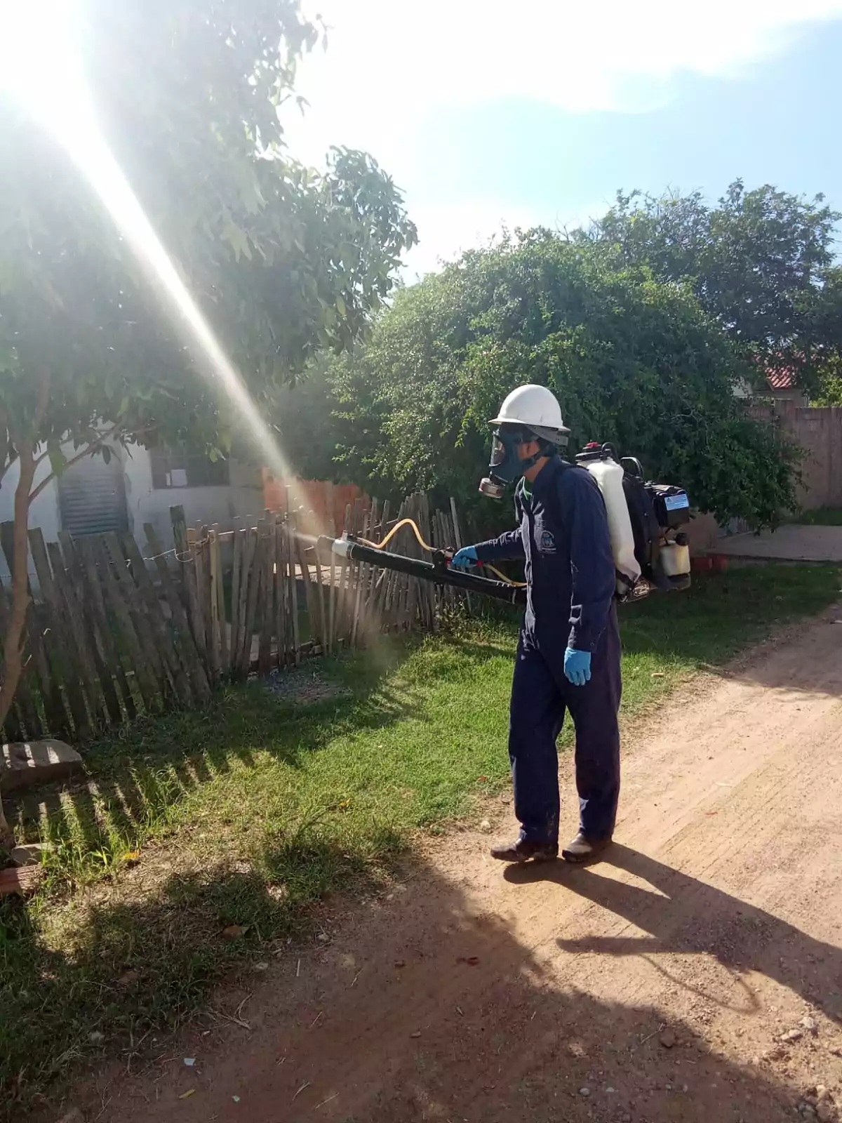 Prefeitura de Porto Murtinho intensifica ações de combate ao mosquito Aedes Aegypti Prefeitura de Porto Murtinho intensifica ações de combate ao mosquito Aedes Aegypti